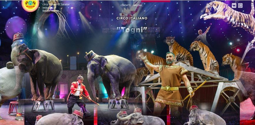 Grande entusiasmo per il Circo Italiano Togni al circo di stato di Saratov Russia.